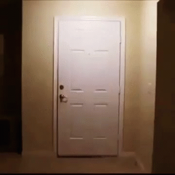 big bird door