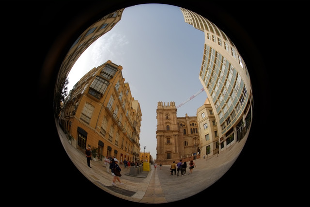DSCF8908.jpg
