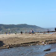 IMG 0006