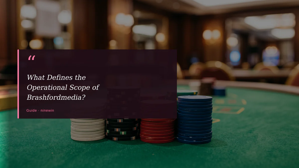 What Defines the Operational Scope of Brashfordmedia?