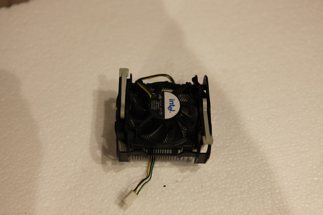 IMG-8869.jpg