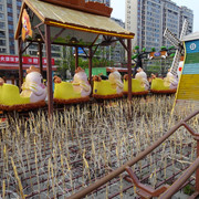 DSC09025