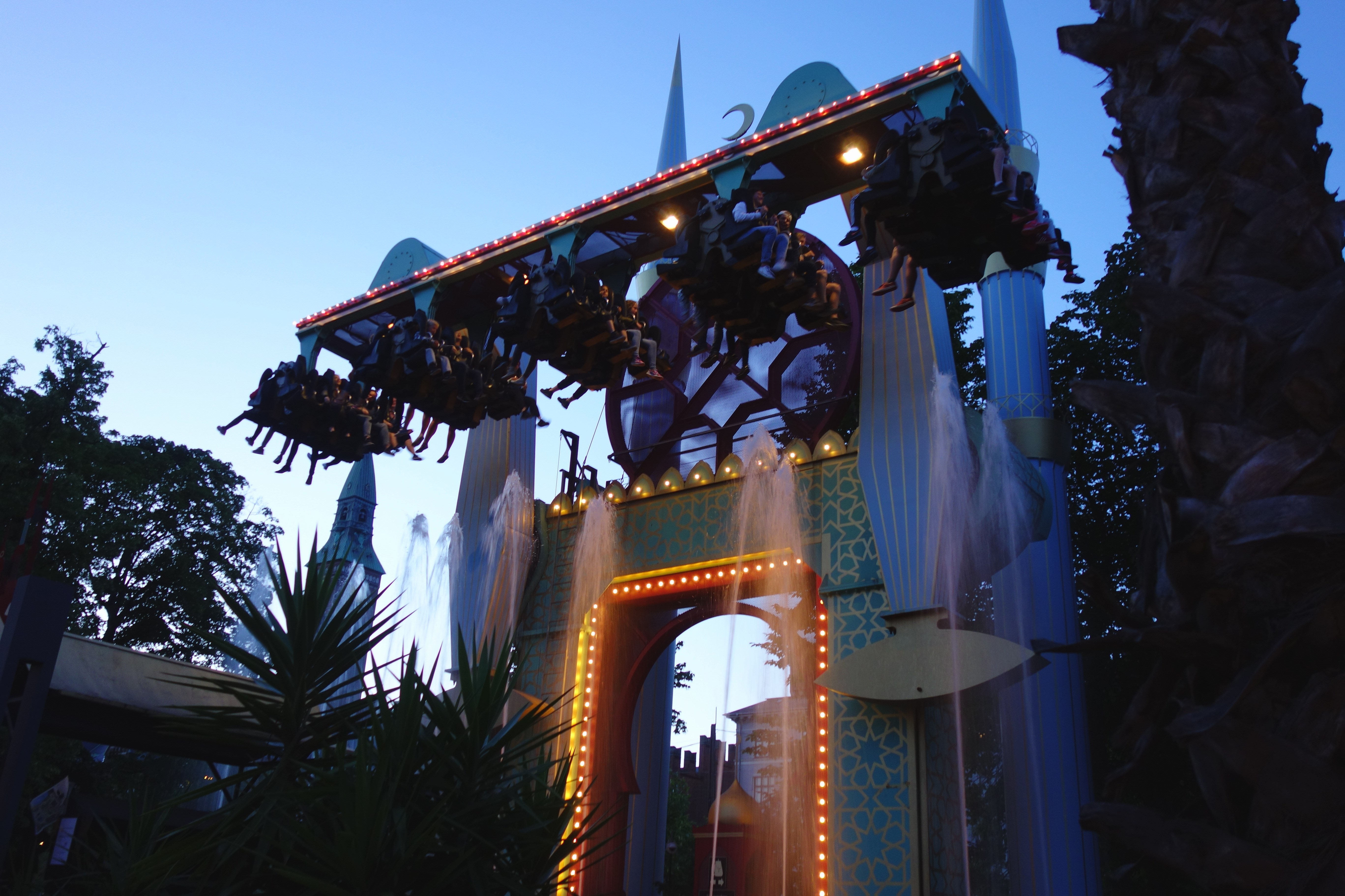 DSC07857