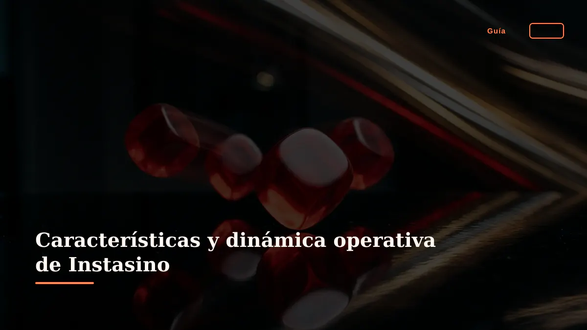 Características y dinámica operativa de Instasino