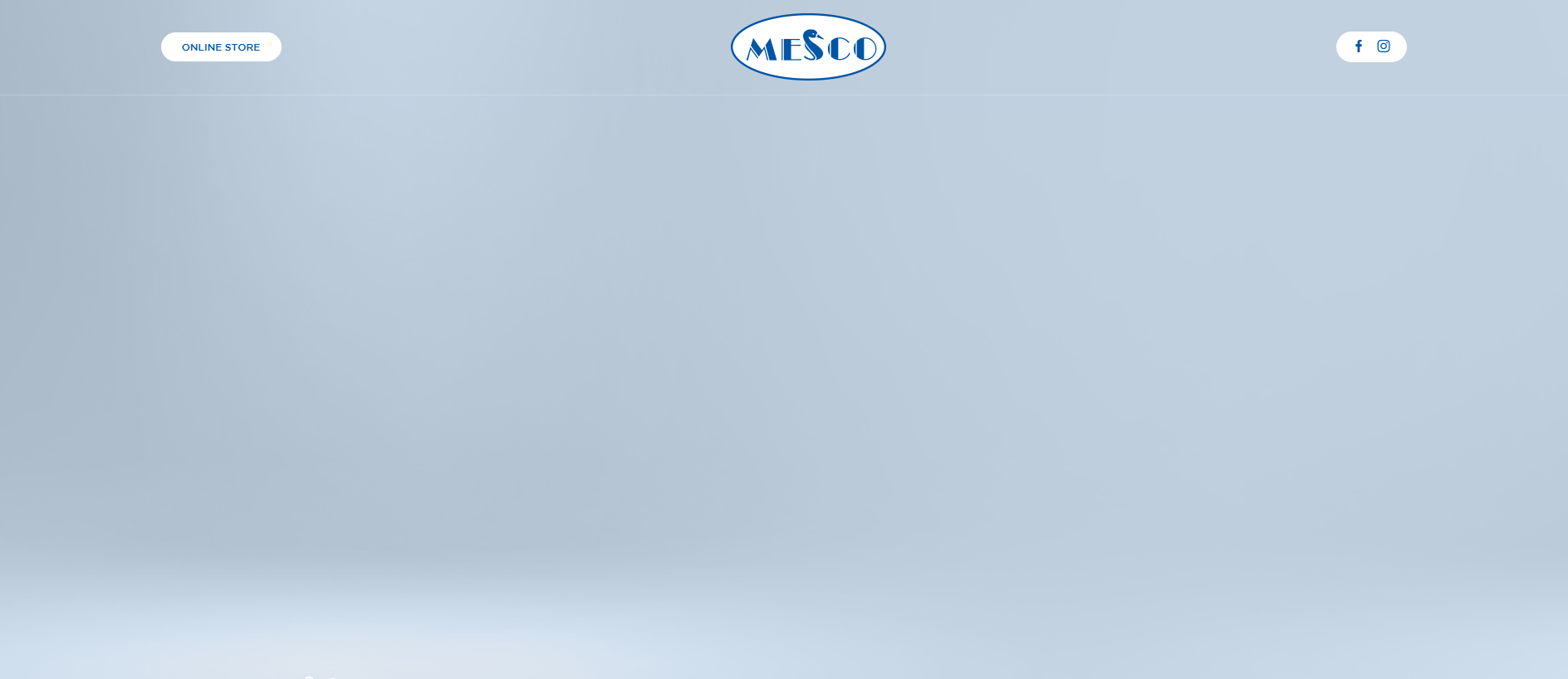 Stored capture of mesco-group.com