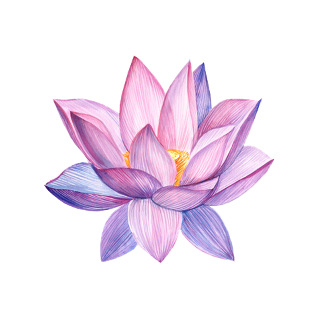 3ee6a4c2b6994f2a9f5e8010a98ac683.png