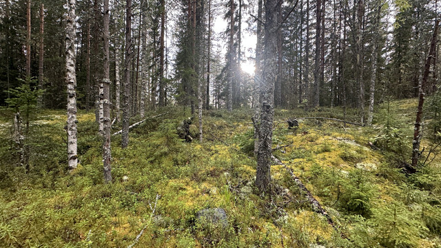 IMG 4792.jpg