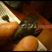 P2870631