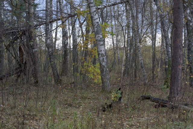 DSC7366-result.jpg