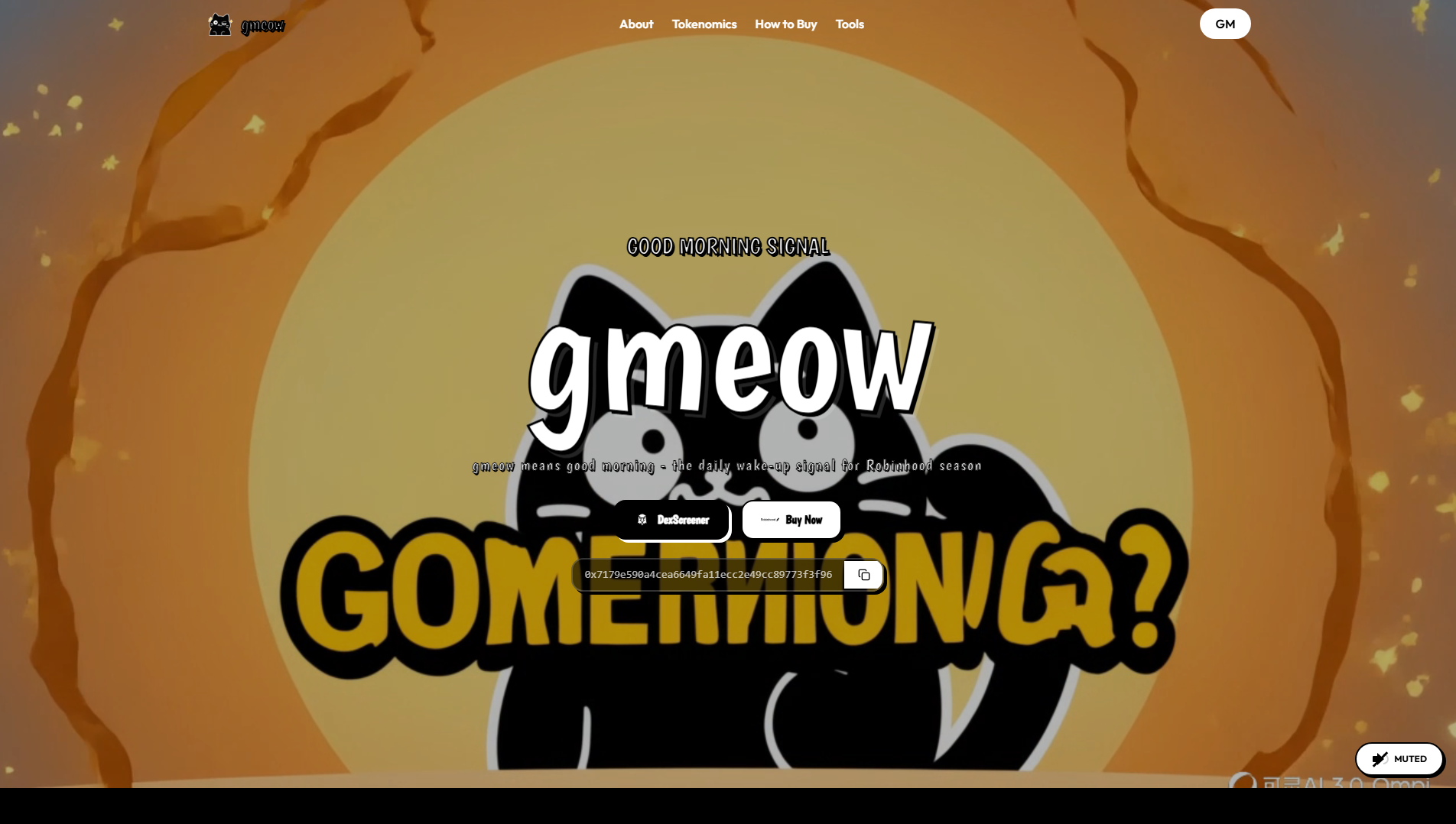 Stored capture of gmeow.lol