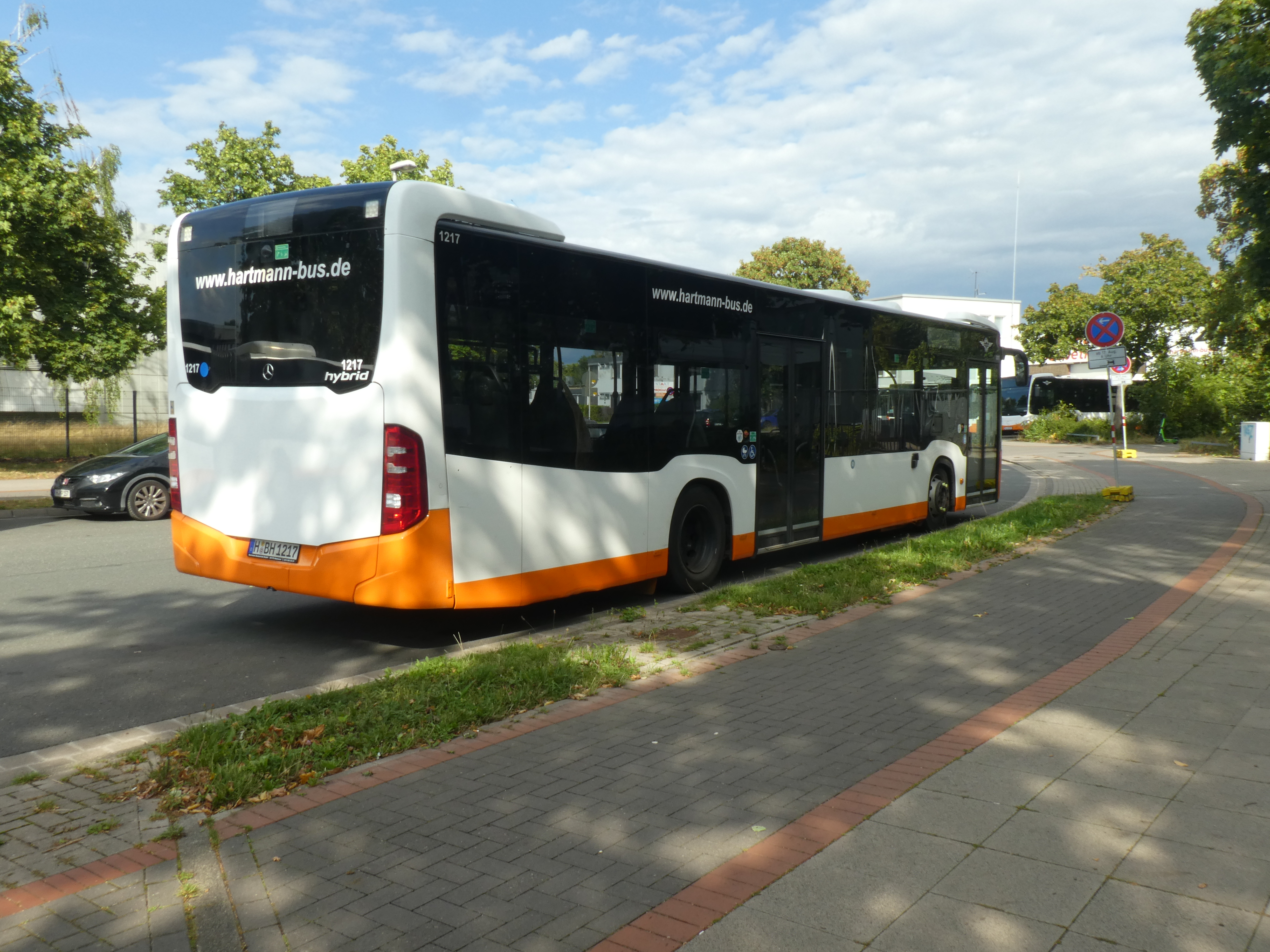 i.ibb.co/tTQSLhKX/Hartmann-1217-3.jpg