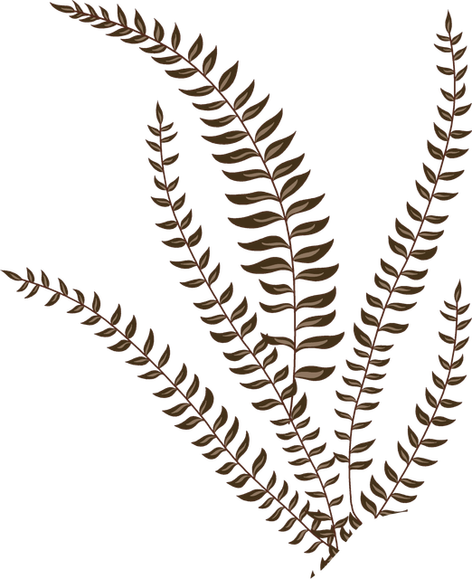 74edbabac2fc734be5eeb926aa570bb0 copy.png