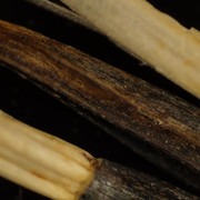 DSC01657