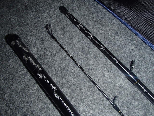 P8160021