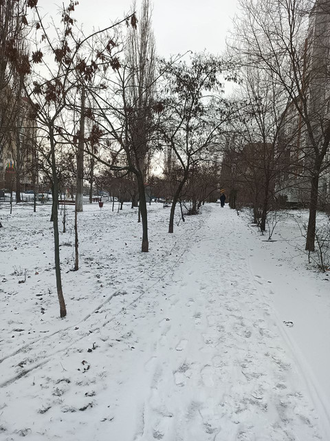 снег.jpg