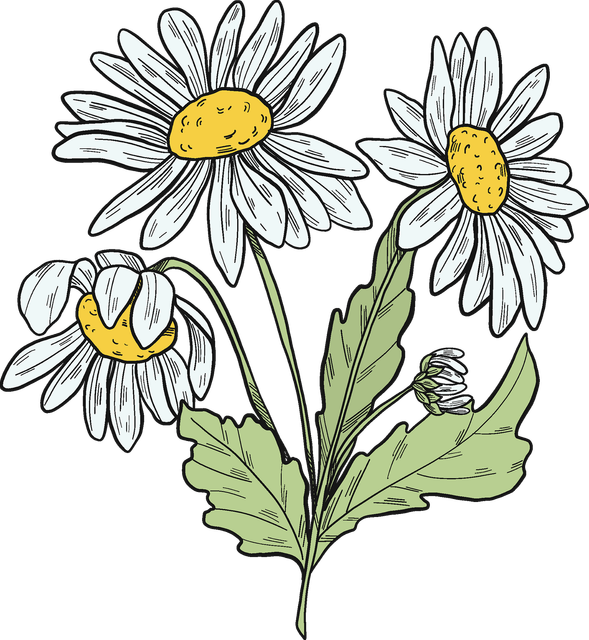 image processing20200410 18222 briva1.png