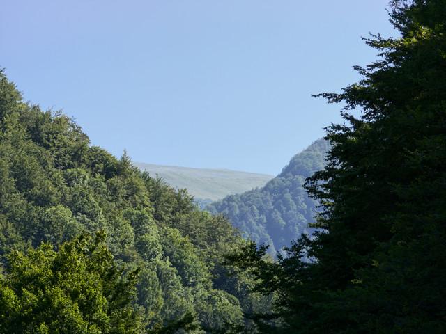 IMG20260729162337