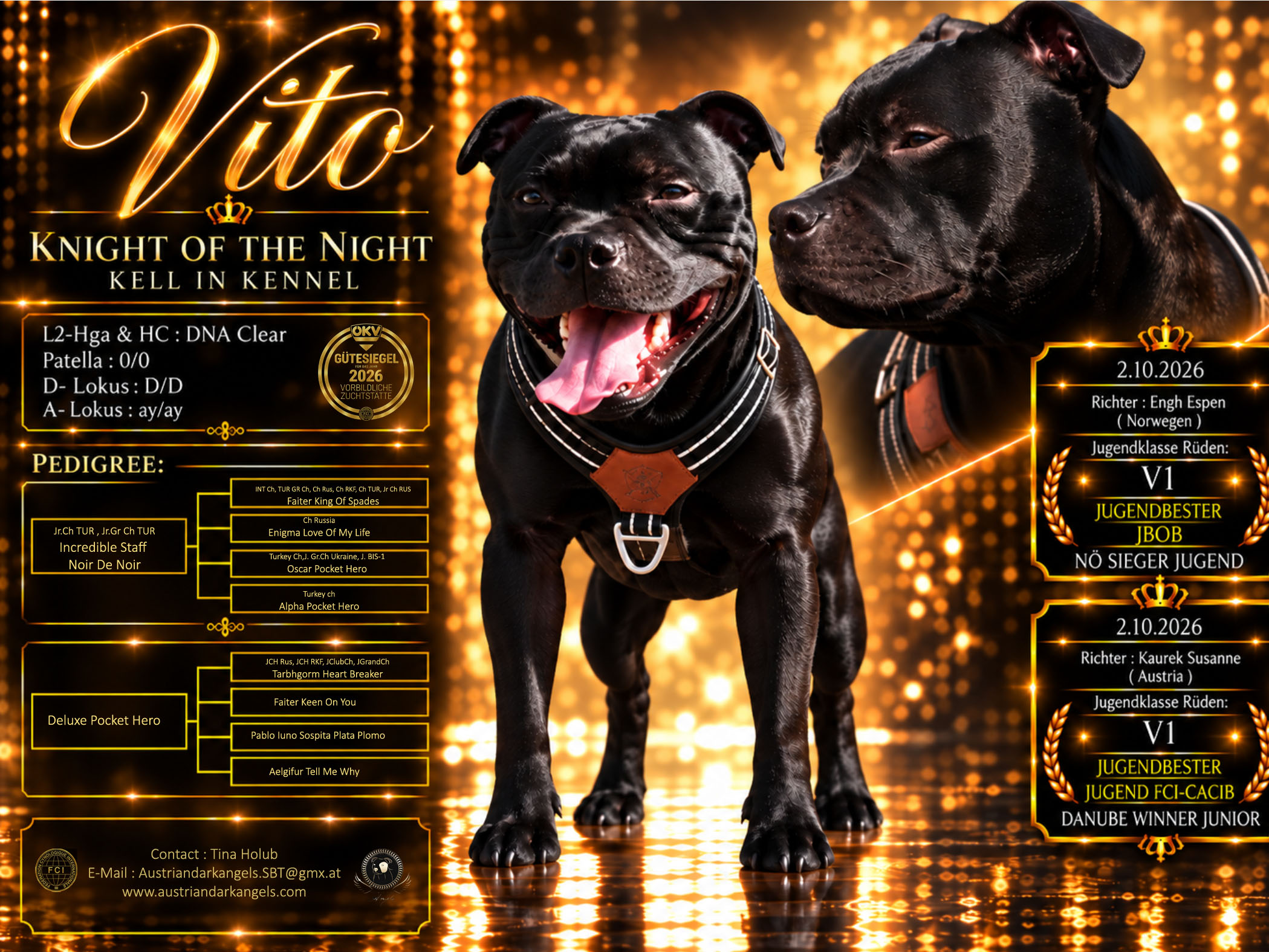 Vito Flyer mit Patella