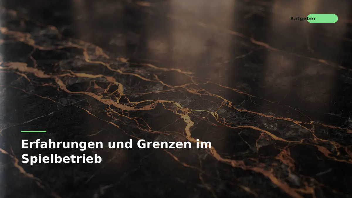 Erfahrungen und Grenzen im Spielbetrieb