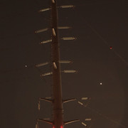 IMG 0419