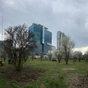IMG-8731