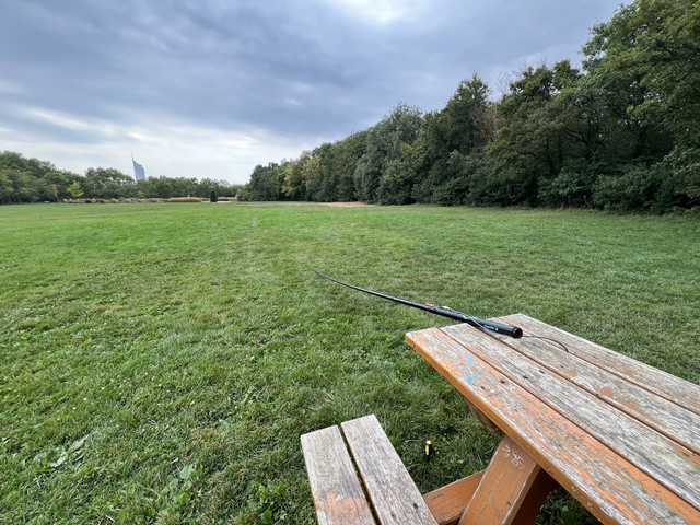 IMG-1586