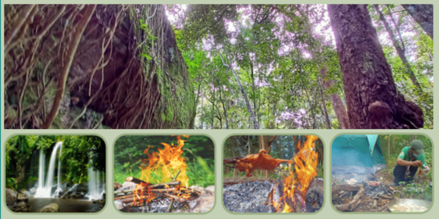 Prey Thom Popel Community Protected Area 