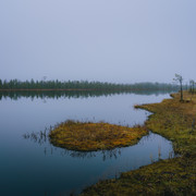 DSC06299