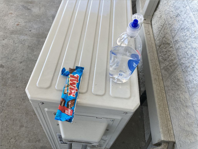picnic.jpg