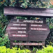 日本村11