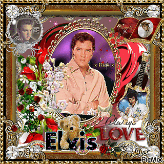 Adjusted Focus Elvis Portrait