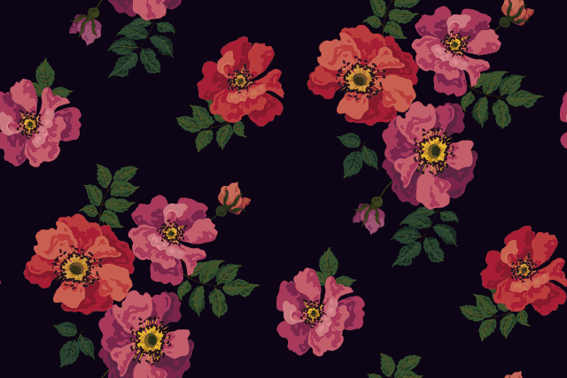 shutterstock 2013679811.gif