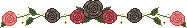 p09 rose line