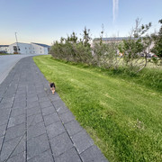 IMG-9083.jpg