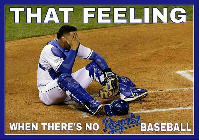 without royals baseball.jpg