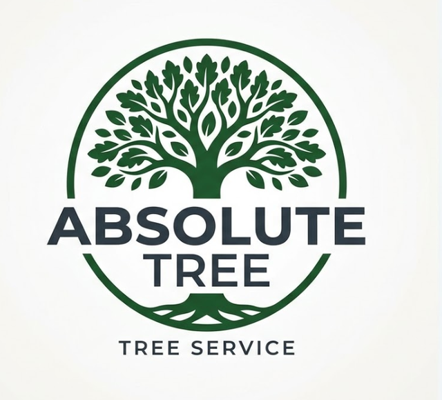Absolute Tree.png