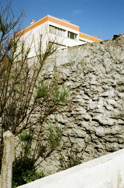 IMG 2103.jpg