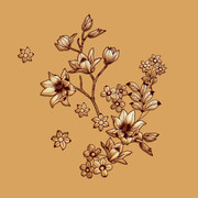 01-1106