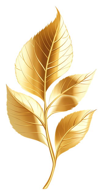 52aef3d1f73245cfeb449b3aa4c8aa02.png