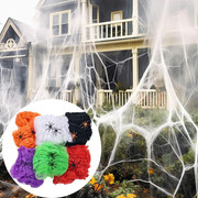 Halloween Spider Web Detail