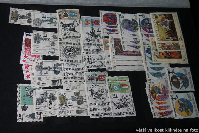 IMG-7025.jpg