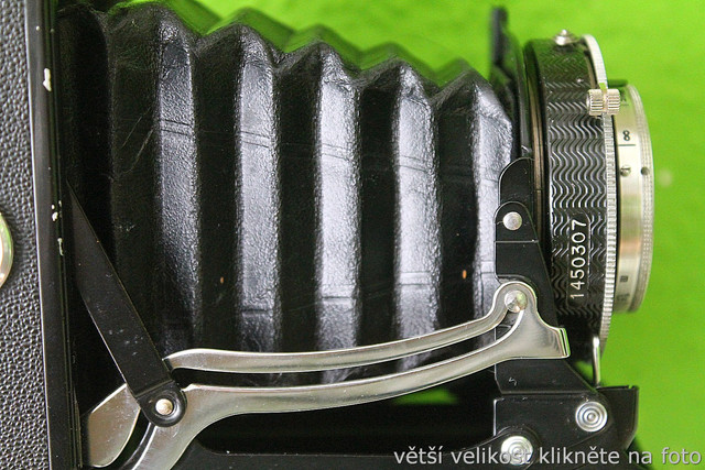 IMG-8072.jpg