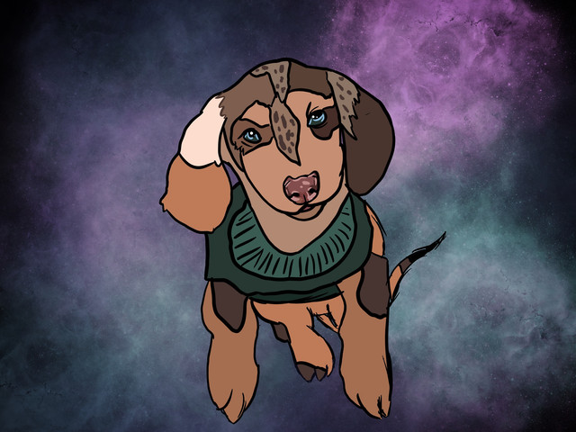 Dog-example-elemental-duchound-1