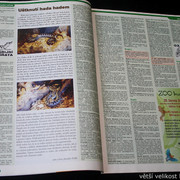 IMG-7756