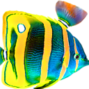pez2.png