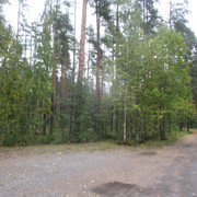 IMG-9645