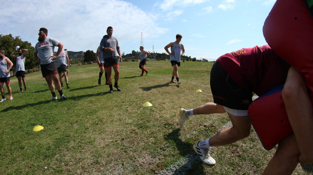 IMG-9202.jpg