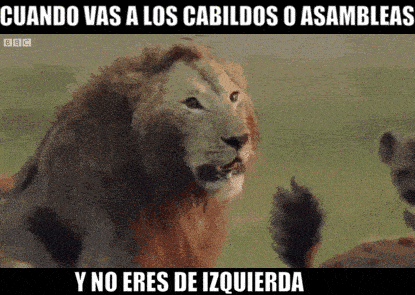 leondiestroch.gif