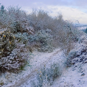 charset-Ascii-binary-comment