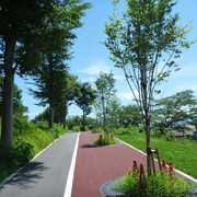 P1330943